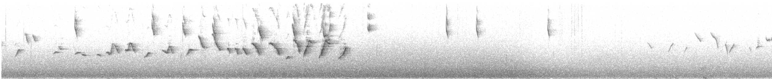 Süslü Ötleğen (ornatus) - ML641927101