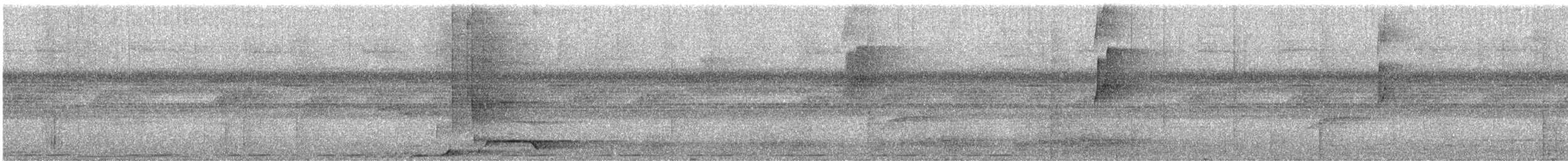 セアカオオツリスドリ - ML641927121