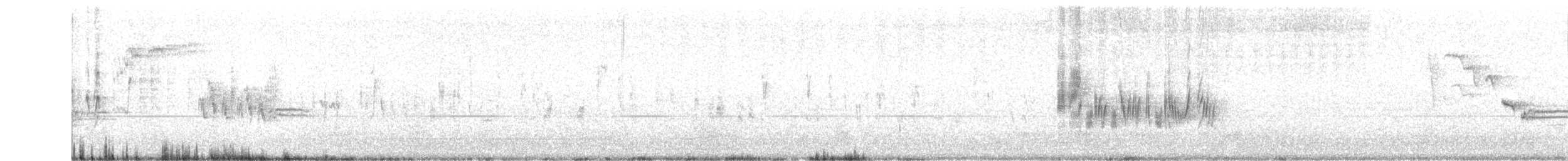 Traquet noir et blanc - ML641929491