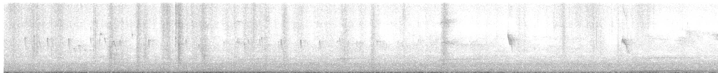 Sick's Swift - ML641931993