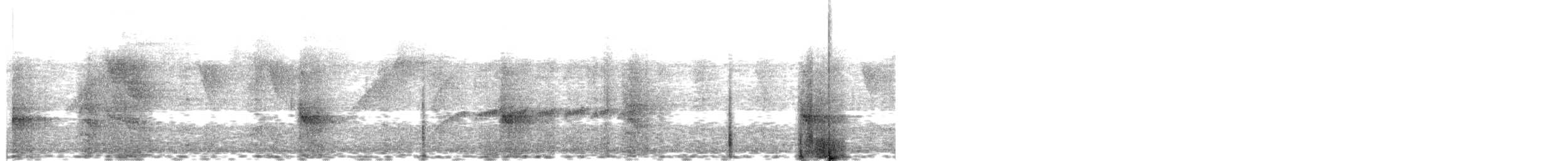 Пласкодзьоб західний - ML641932880