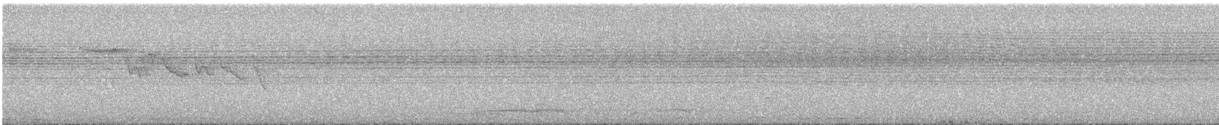 Brown Creeper - ML641933944