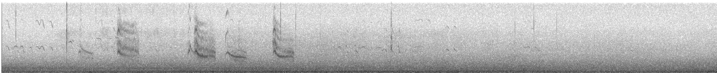 Forster's Tern - ML641934760
