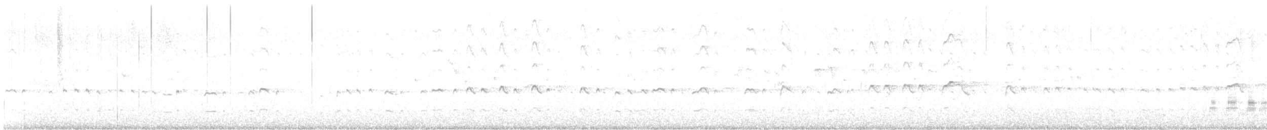 Gadwall - ML641936636