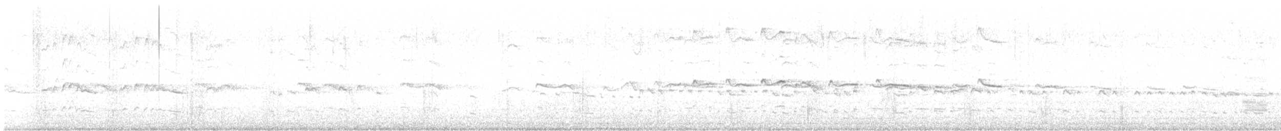 Gadwall - ML641936654