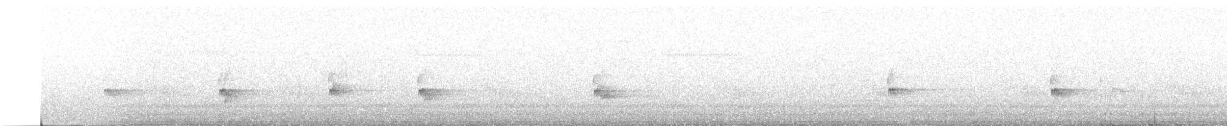 チャバラマユミソサザイ - ML641937362