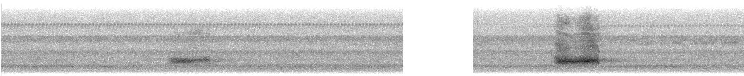 Küba Peçeli Baykuşu - ML641937365