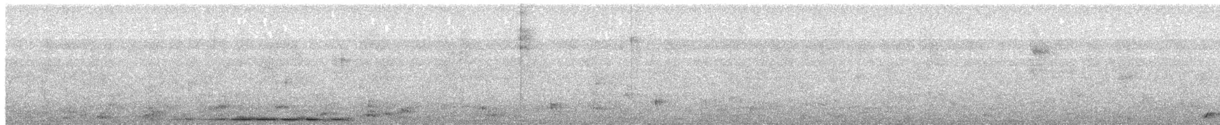 Variegated Antpitta - ML641939124