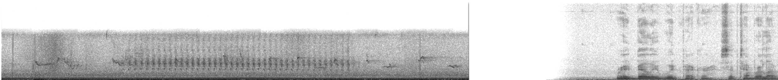 Red-bellied Woodpecker - ML641939283