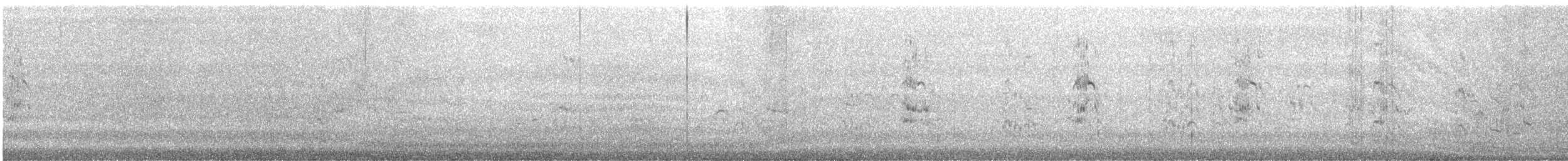 Elegant Tern - ML641939464