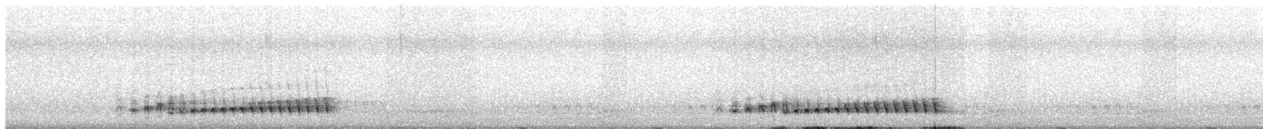 Pectoral Antwren - ML641940220