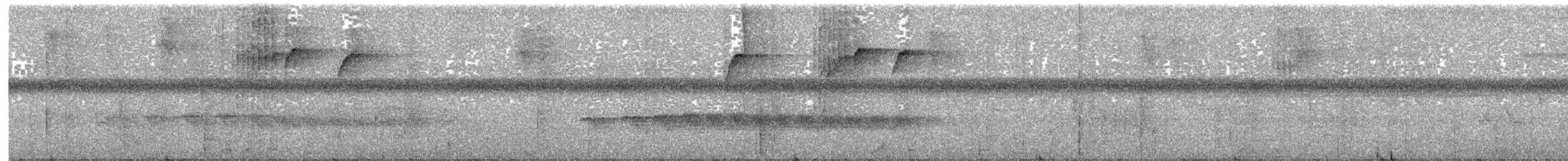 Golden-spangled Piculet - ML641940477