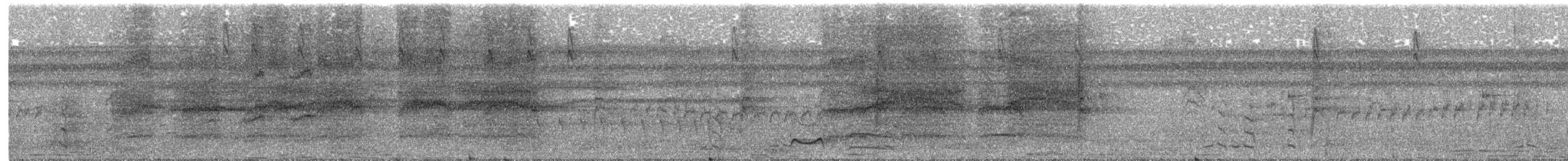 svartkronepapegøye - ML641940788