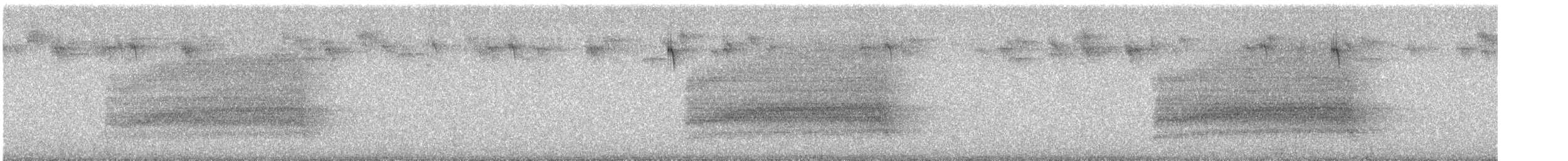 Sooty Owl (Greater) - ML641942741