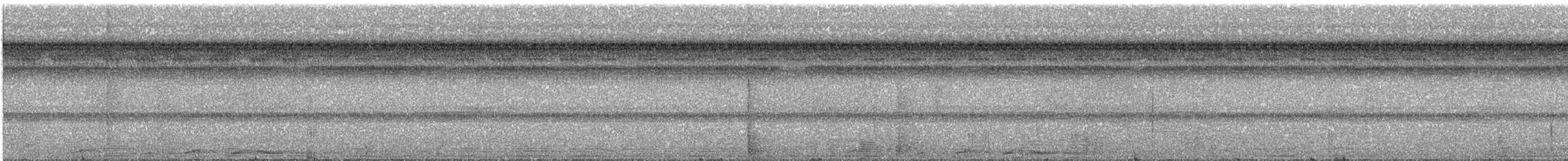 Weintaube - ML641942919