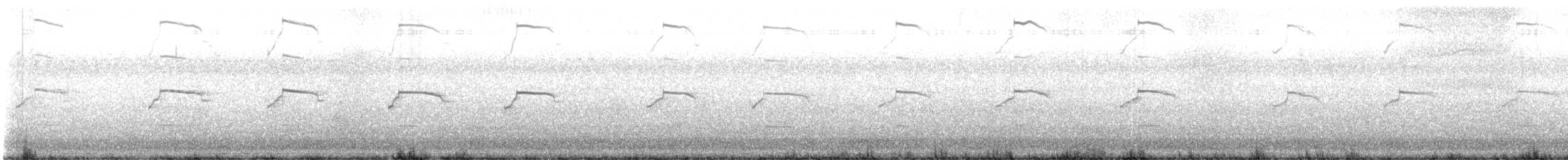 ワライカモメ - ML641944678