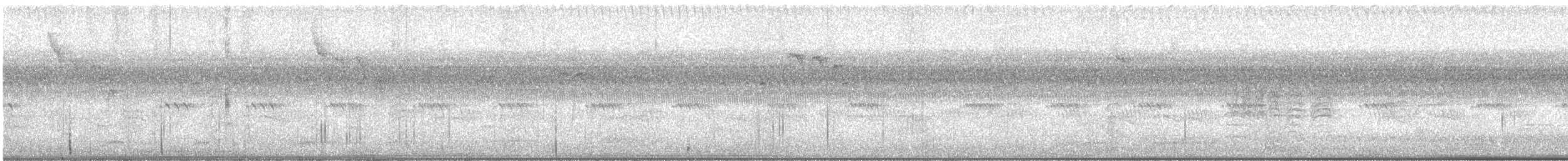 bird sp. - ML641945906