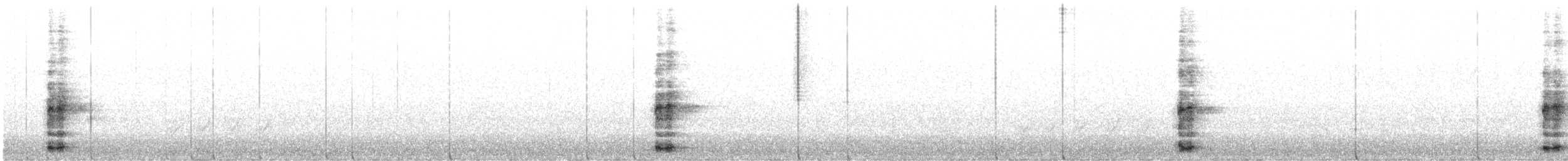 Fagiano comune - ML641946094