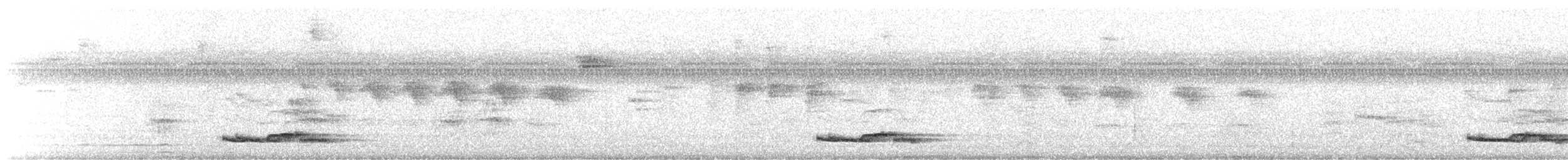 Long-tailed Manakin - ML641946166
