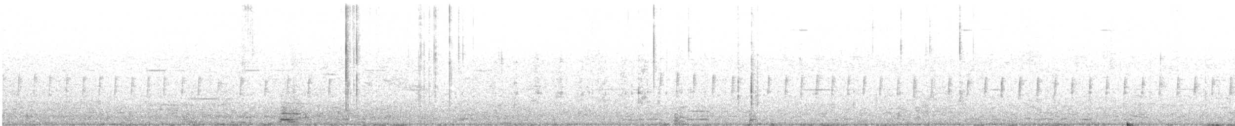 White-throated Tyrannulet - ML641947933