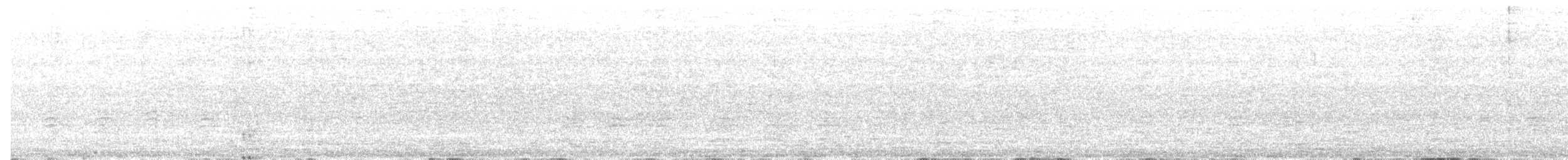 brhlík americký - ML641949586