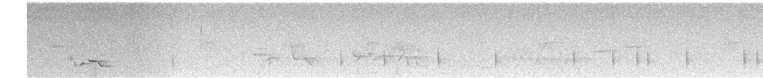 White-bellied Wren - ML641949764