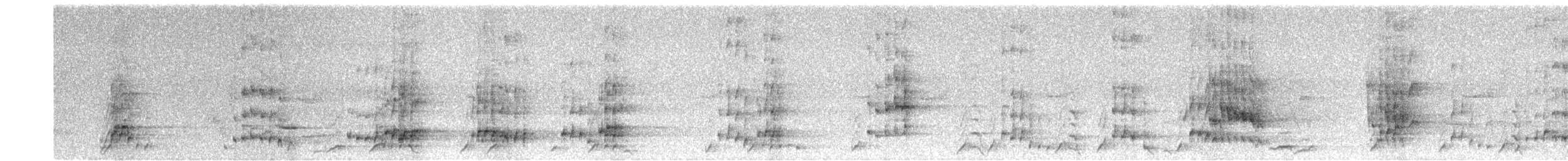 White-throated Magpie-Jay - ML641949776