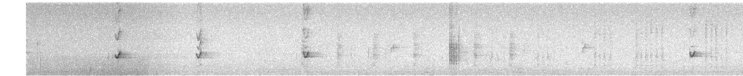Streak-backed Oriole - ML641949802