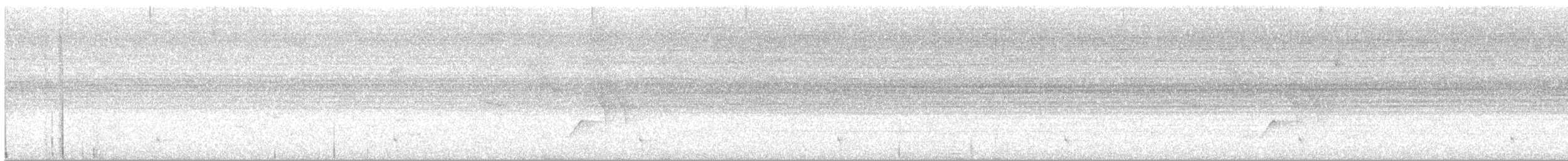 Thicket Tinamou - ML641950369