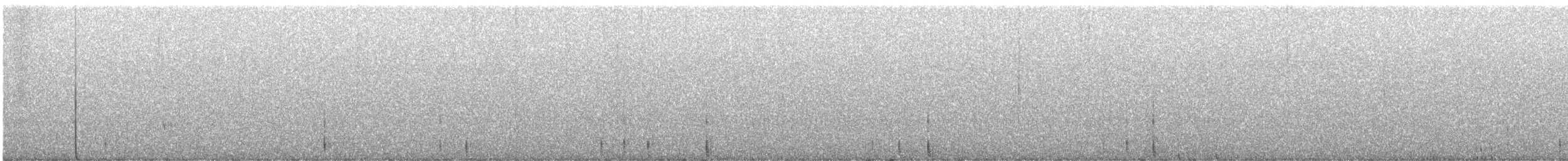 Black-backed Woodpecker - ML641951578