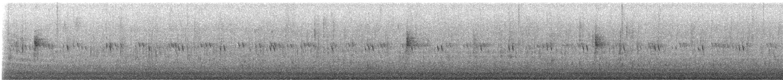 Northern Waterthrush - ML641952559