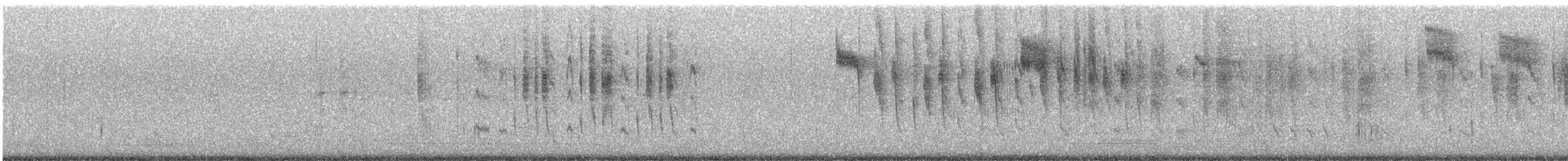 Allen's Hummingbird - ML641952623