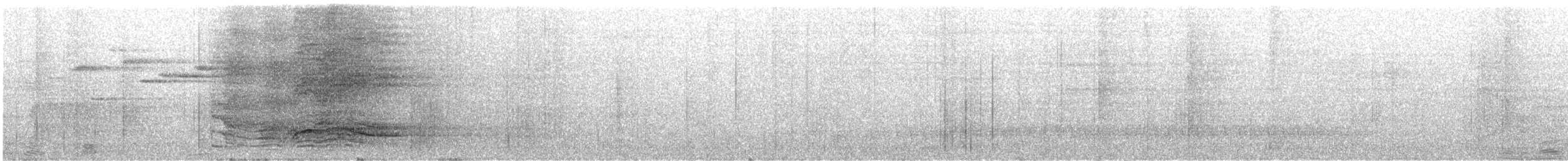 Spotted Catbird - ML641953608