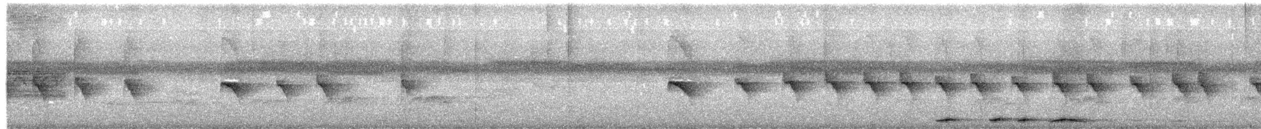 Dot-winged Antwren - ML641953659