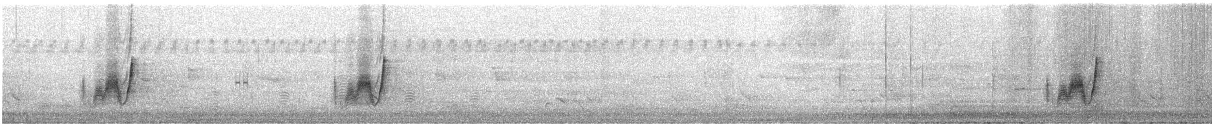 Paperbark Flycatcher - ML641954248