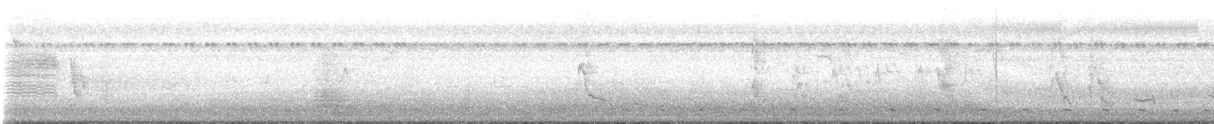 Bengalenkuckuck - ML641954656