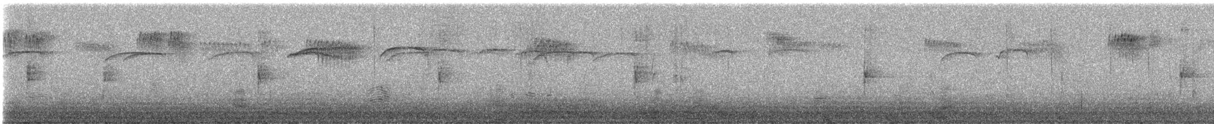 Northern Waterthrush - ML641955506