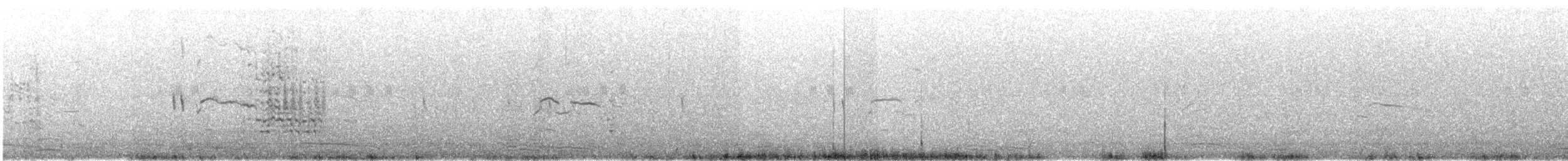 Black-tailed Gull - ML641956028