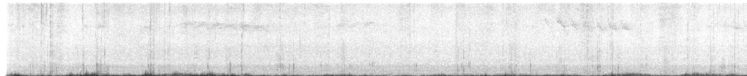 králíček obecný - ML641958322