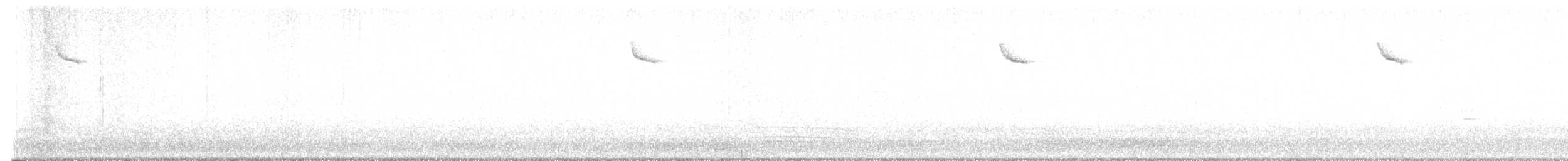 sýkora koňadra - ML641958403