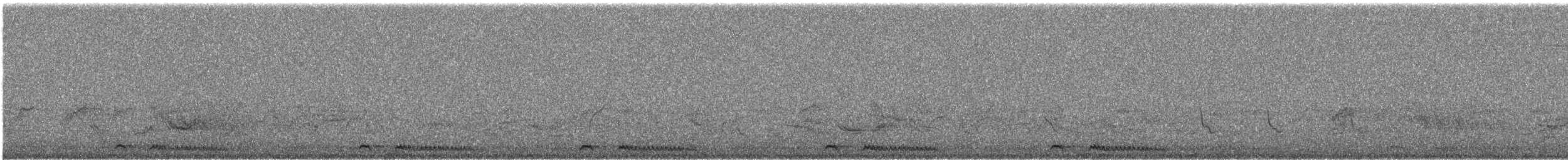 Ring-necked Dove - ML641958544