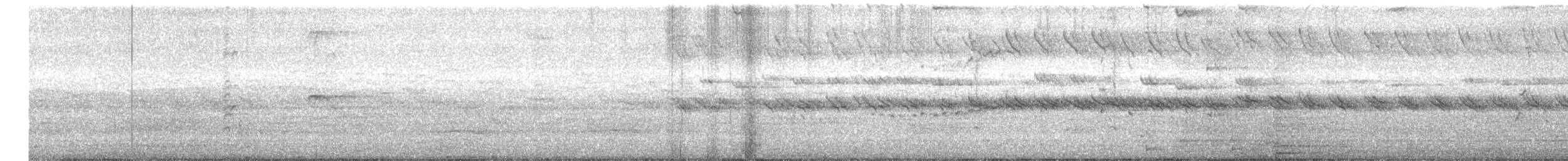 Cratérope affin - ML641958984