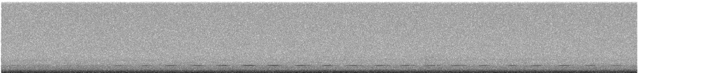 Northern Saw-whet Owl - ML641959319