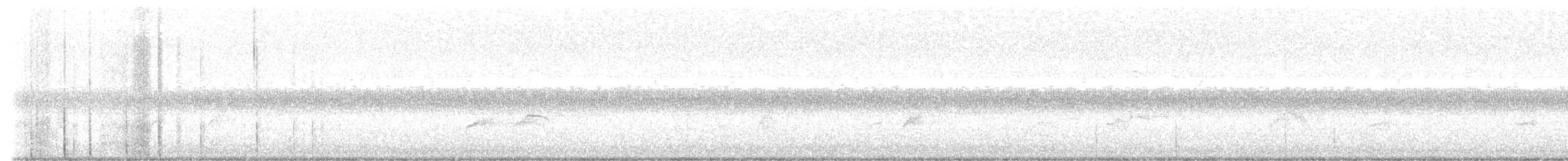 Swainson's Thrush - ML641959565