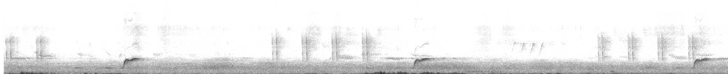 Doppelbandwürger - ML641959971
