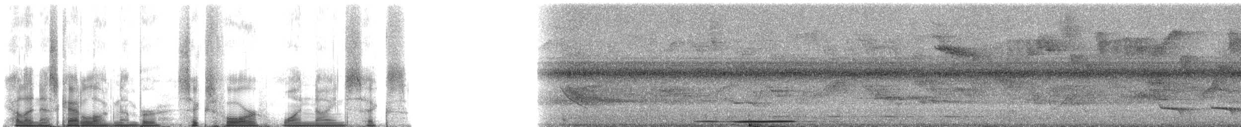 holub bledočelý [skupina verreauxi] - ML64196