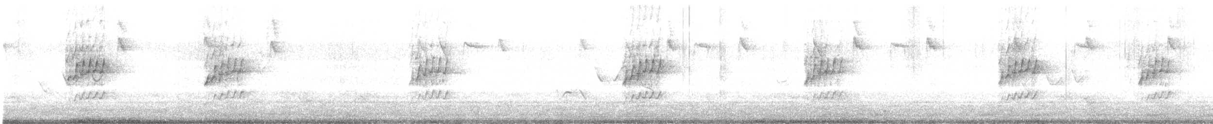 Collared Sunbird - ML641960615