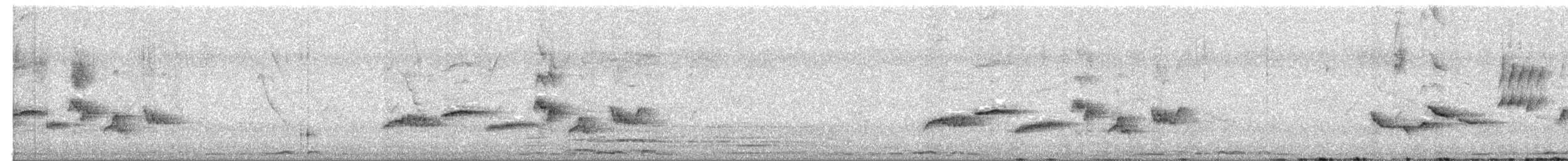 Kurrichane Thrush - ML641962102