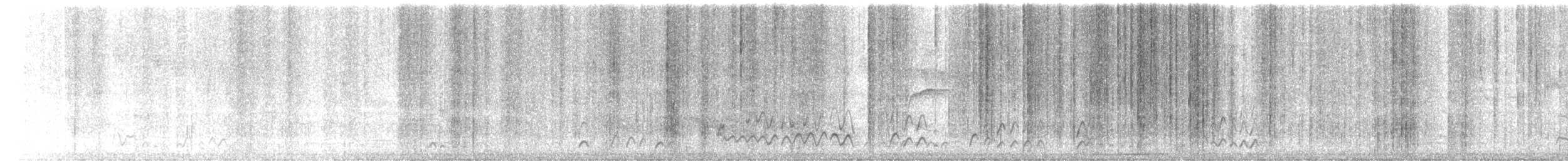 Undulated Tinamou - ML641962748