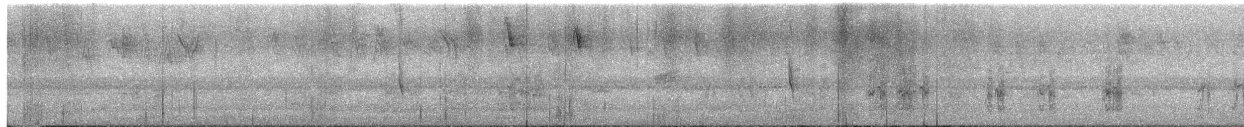 skjellhodepapegøye - ML641962777